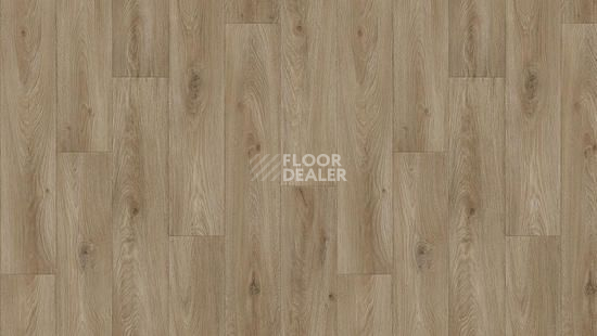 Линолеум Tarkett Idylle Nova Bremen 3 фото 1 | FLOORDEALER
